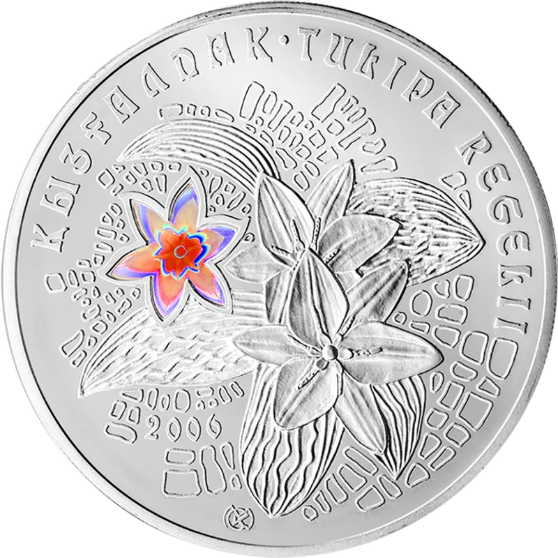 Tulipa Regelii (Plicate tulip)-Reverse