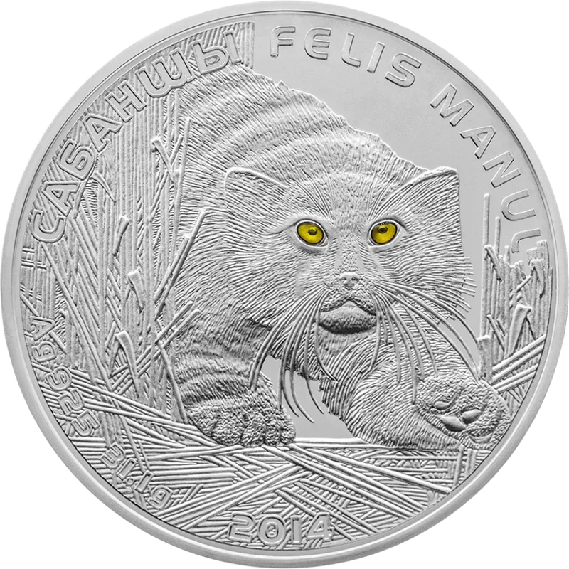 Manul (500)-Кері