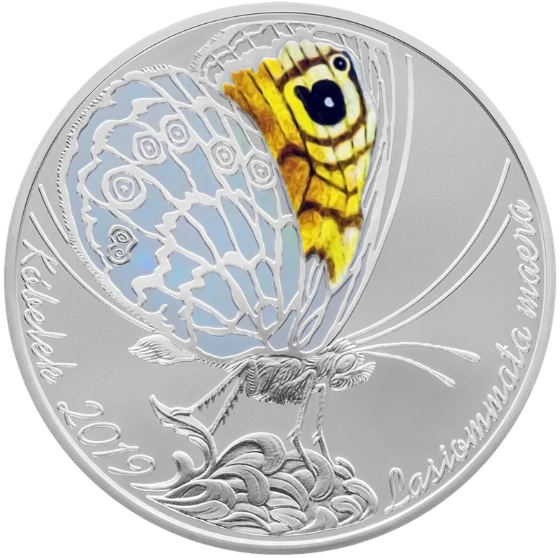 Бабочка (200)-Реверс