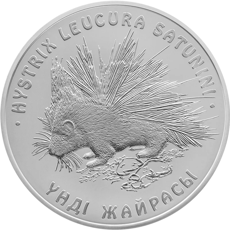 Дикобраз (50)-Реверс