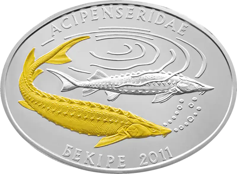 Sturgeon