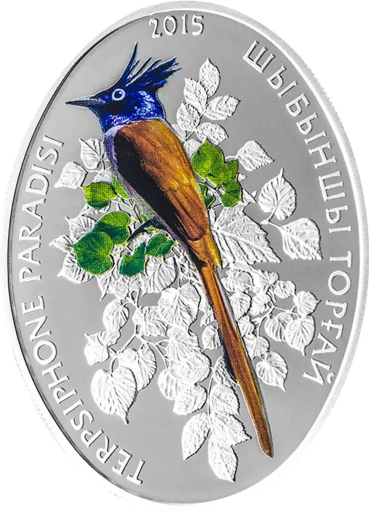 Paradise Flycatcher