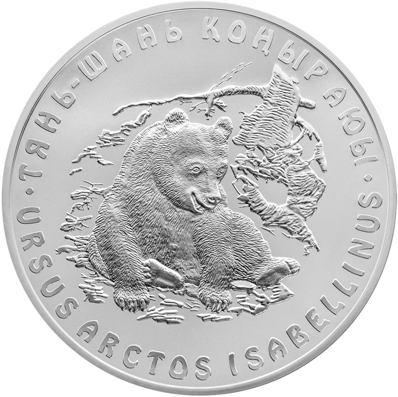 Tyan-Shanskiy Buryy Medved (500)-Reverse