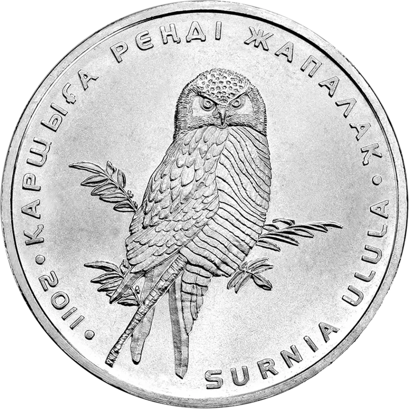 Ястребиная Сова (50)-Обратная