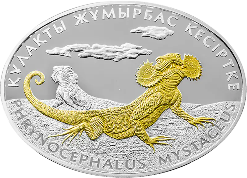 Ушастая круглоголовка