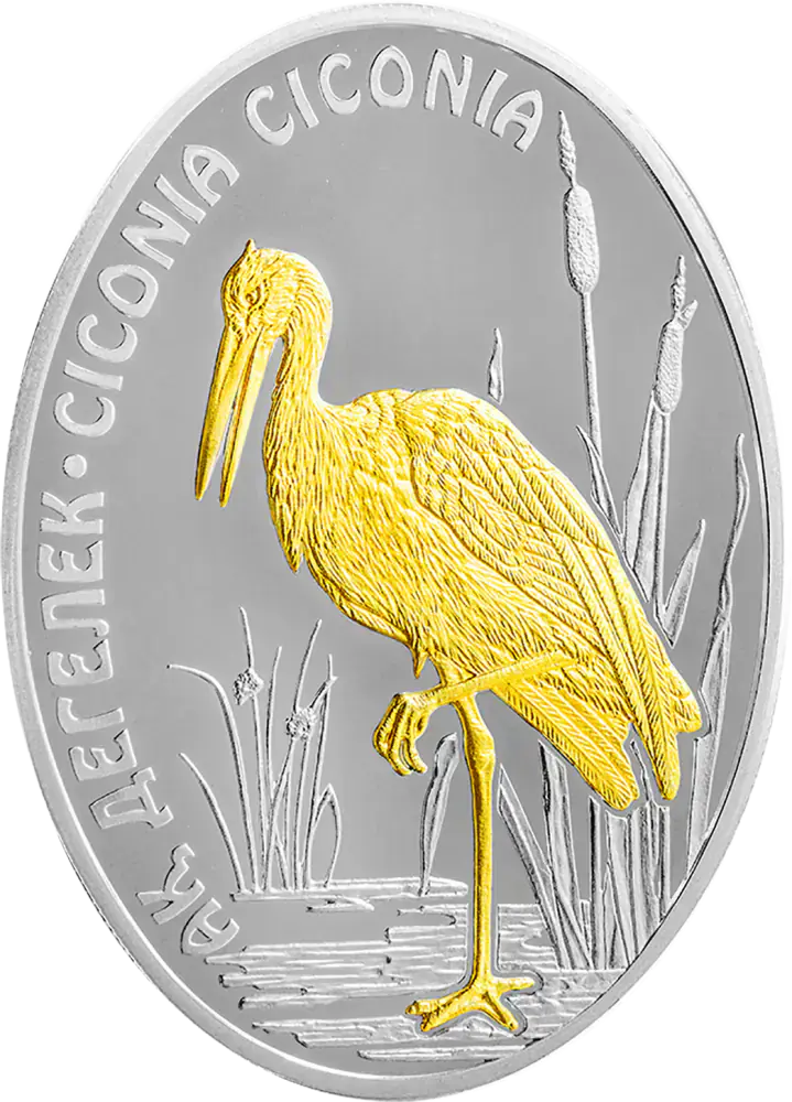 White Stork